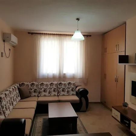 Comfortable Shengjin